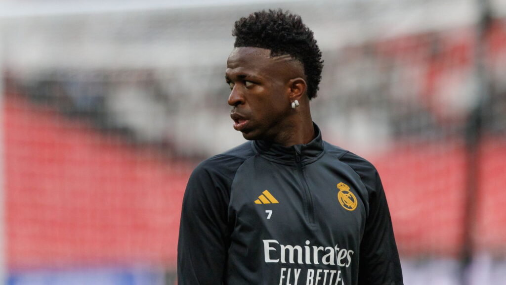 vini